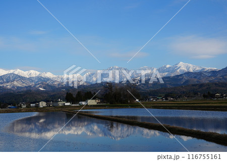 水田に映り込む富山県立山町から望む立山連峰 116755161