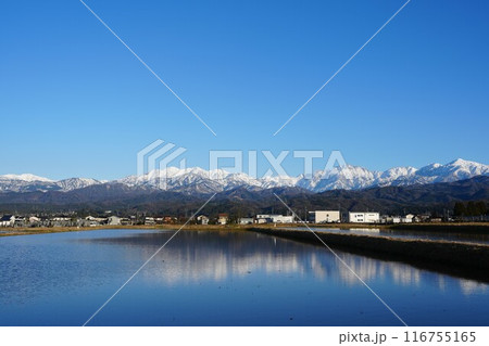 水田に映り込む富山県立山町から望む立山連峰 水田に映り込む富山県立山町から望む立山連峰 116755165
