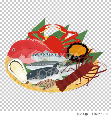 魚介類盛り合わせのイラスト 116755289