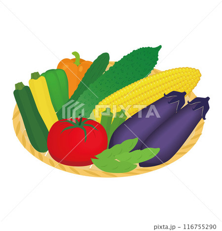 夏野菜盛り合わせのイラスト 116755290