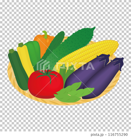 夏野菜盛り合わせのイラスト 116755290