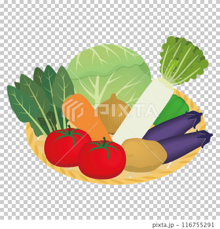 Illustration of assorted vegetables Illustration of assorted vegetables 116755291