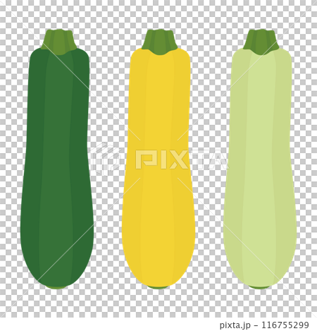 西葫蘆的插圖 116755299