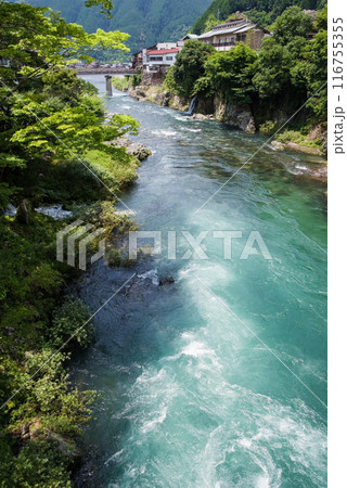 【郡上八幡・吉田川】新橋からの眺め 116755355