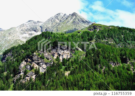 アルプグリュ駅を出ると、円形カーブとジグザグコースを下ります 116755359