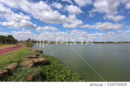 The scenery around Bueng Thung Sang has water hyacinths growing along the shore. The scenery around Bueng Thung Sang has water hyacinths growing along the shore. 116755929