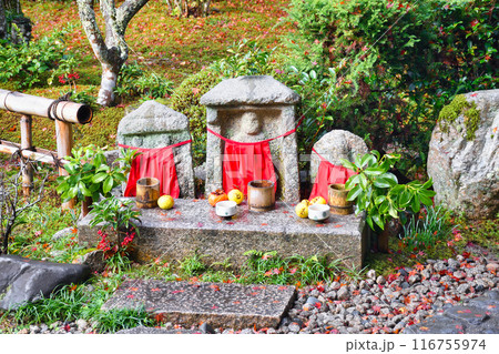 大原　宝泉院の石仏　秋の風景（京都市左京区） 116755974