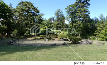 緑豊かな公園 116756244