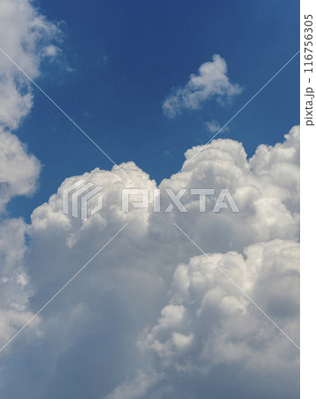 夏の青空と積乱雲 116756305