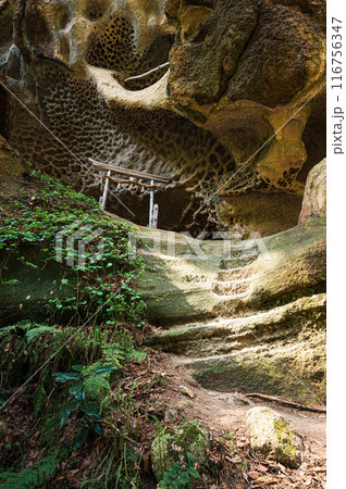 垂水遺跡 116756347