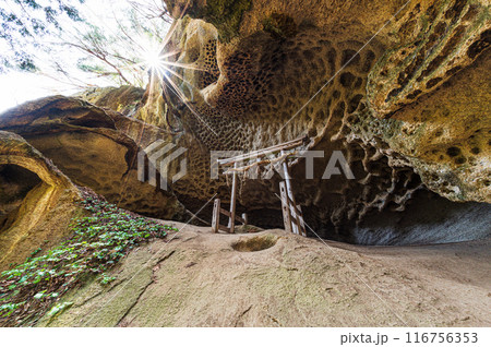 垂水遺跡 116756353