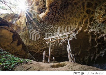 垂水遺跡 116756362