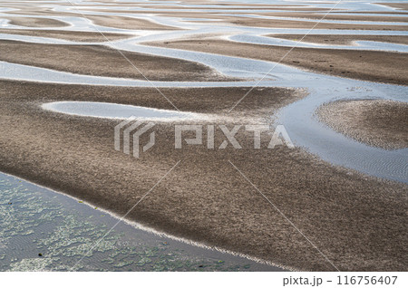 真玉海岸 116756407