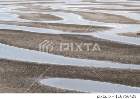 真玉海岸 116756429