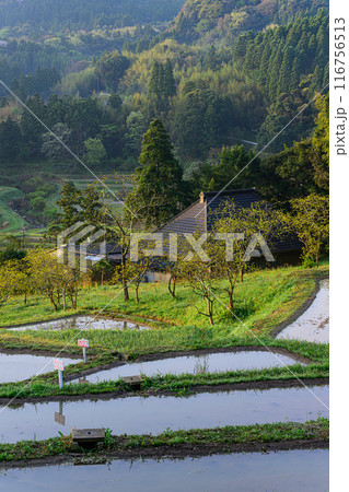 大山千枚田 116756513