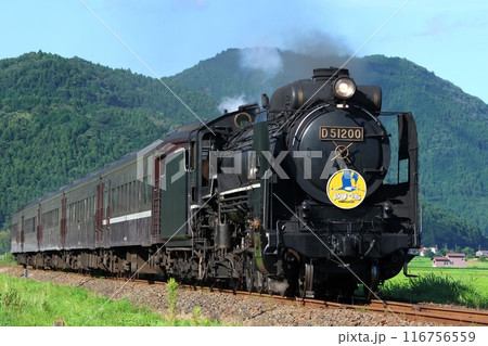 【JR西日本】D51形＋35系「SLやまぐち号」（山口線：船平山〜徳佐） 116756559