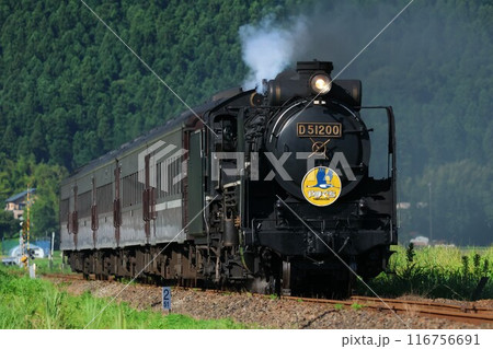 【JR西日本】D51形＋35系「SLやまぐち号」（山口線：船平山〜徳佐） 116756691