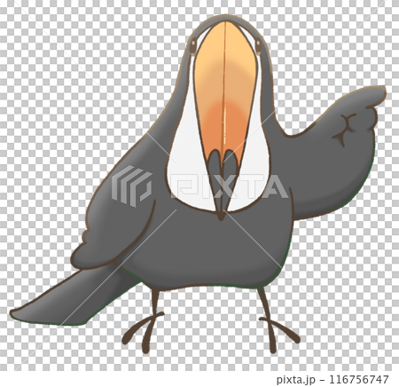 Toucan pointing to the right 116756747