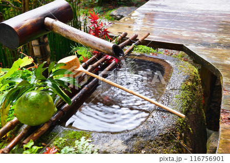 大原　宝泉院　美しい秋の風景（京都市左京区） 116756901