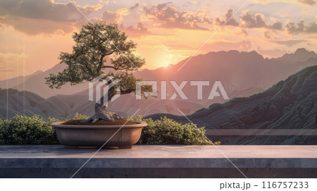 A small bonsai tree is sitting on a ledge in front of a mountain range 116757233