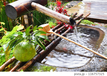 大原　宝泉院　美しい秋の風景（京都市左京区） 116757325