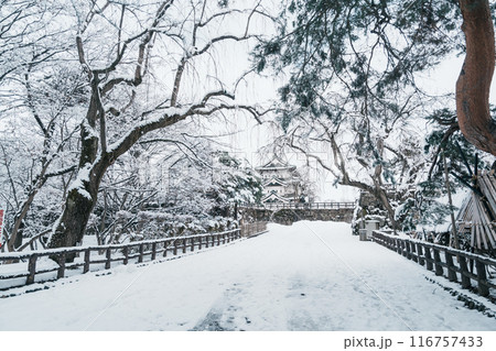 White Hirosaki Castle or Takaoka Castle with snow in winter, hirayama style Japanese castle located in Hirosaki city, Aomori Prefecture, Tohoku, Japan. Landmark for tourist attraction. Japan travel 116757433