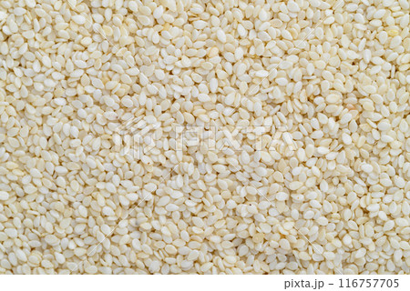 White sesame seeds texture background, Food ingredient White sesame seeds texture background, Food ingredient 116757705