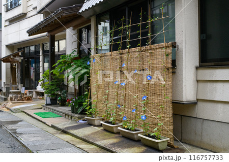 湯治客を迎える　肘折温泉　温泉街　山形県 116757733