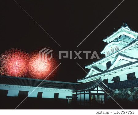 長浜城と花火（北びわ湖花火大会）/滋賀県長浜市 116757753