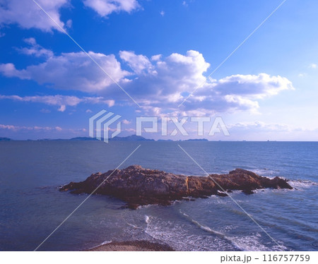 赤穂御崎の先端の海岸と遠景に家島諸島（大石内蔵助、赤穂浪士ゆかりの地） 116757759