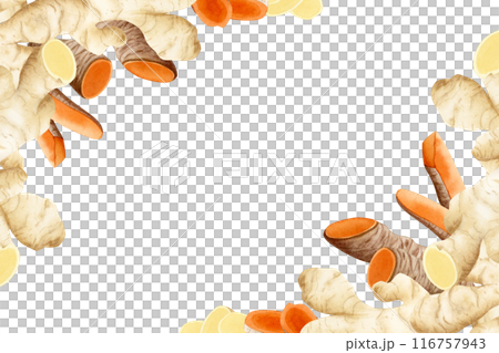 Turmeric and ginger roots corner frame banner illustration isolated on white background for label designs. Raw spicy vegetable template with copy space 116757943
