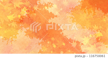 紅葉　葉　秋　背景 116758061