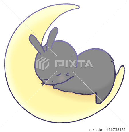 三日月の上で眠るうさぎ(黒色) 116758181