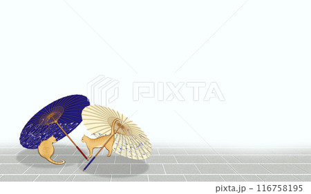 石畳に置かれた和傘の陰で出会う2匹の猫達 116758195