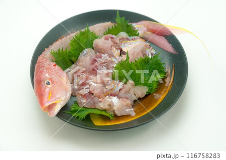 イトヨリダイのお造り 116758283