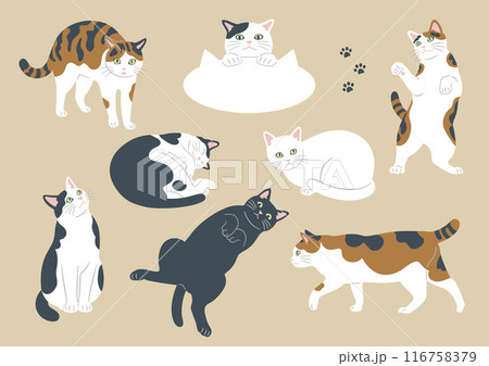 かわいい猫のいろいろな模様とポーズのイラスト かわいい猫のいろいろな模様とポーズのイラスト 116758379