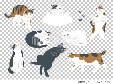 Illustration of cute cats in various patterns and poses 116758379