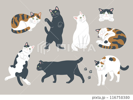 かわいい猫のいろいろな模様とポーズのイラスト 116758380