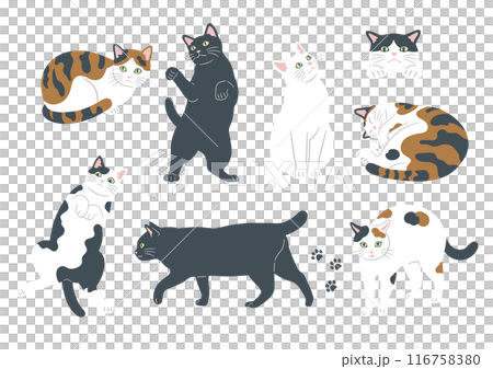 かわいい猫のいろいろな模様とポーズのイラスト 116758380