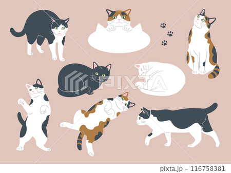 かわいい猫のいろいろな模様とポーズのイラスト 116758381