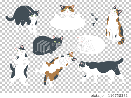 かわいい猫のいろいろな模様とポーズのイラスト 116758381