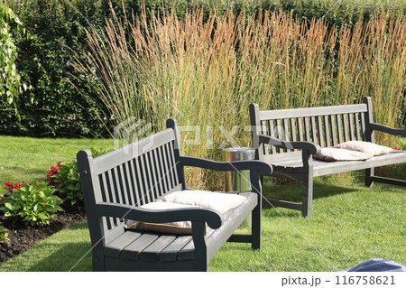 Grey painted wooden bench in park. Nature and recreation. Country estate in summer.  116758621
