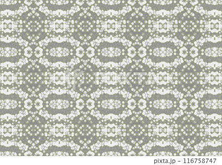 グレートーンのレース調の背景素材 グレートーンのレース調の背景素材 116758747