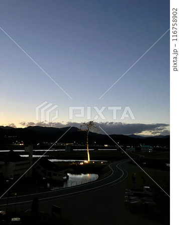海を望む場からの奇跡の一本松 116758902