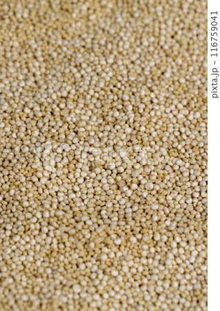 a large amount of quinoa groats during porridge cooking 116759041