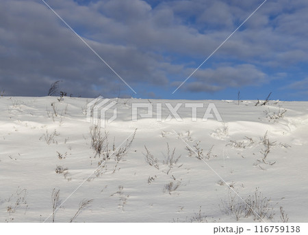 drifts of pure white snow after a snowfall 116759138