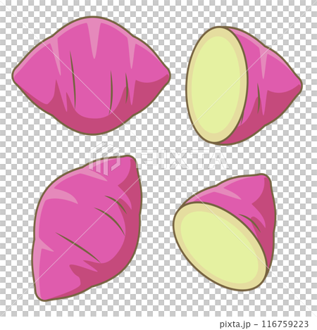 Cute sweet potato illustration set 116759223