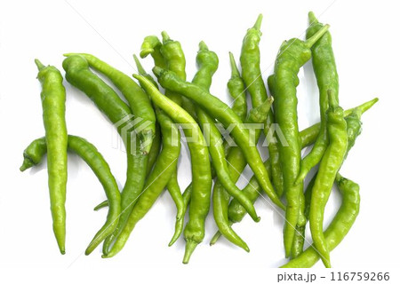 白い背景の唐辛子 116759266