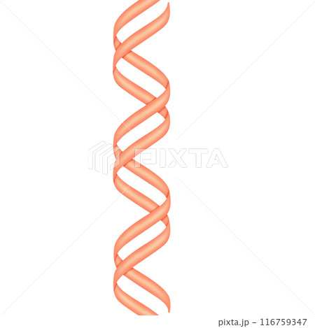 DNA Double Helix structure illustration 116759347