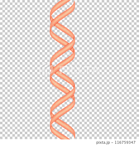 DNA Double Helix structure illustration 116759347